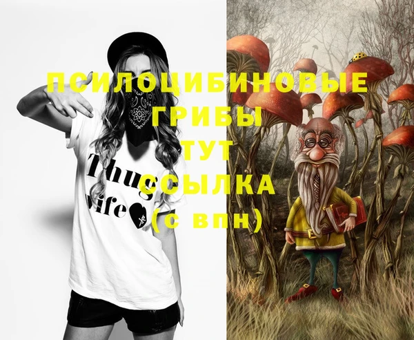 PSILOCYBIN Александровское