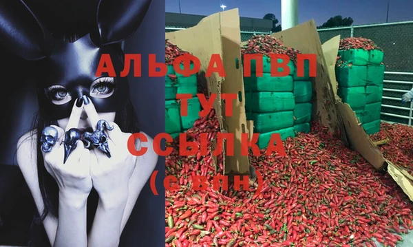 таблы Карпинск