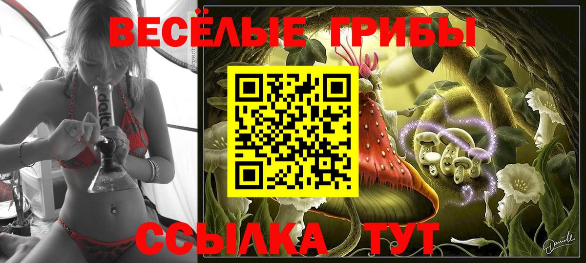Псилоцибиновые грибы Psilocybe  Вход с VPN  где можно купить   Керчь 